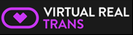 virtualrealtrans-logo